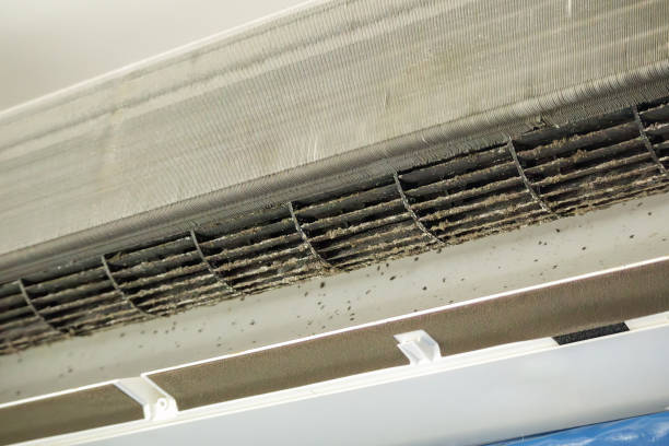 Best Best Air Duct Cleaning Company  in Pearl Beach, MI