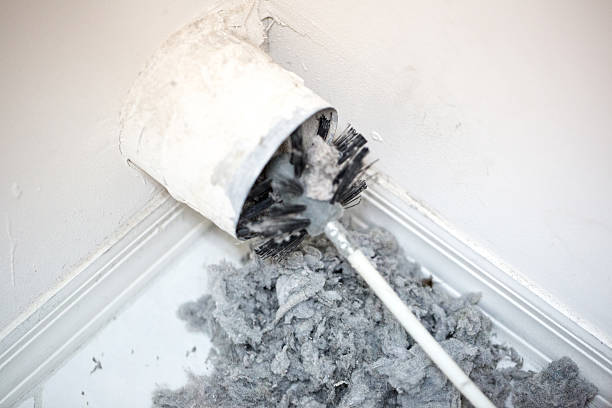 Best Emergency Air Duct Cleaning  in Pearl Beach, MI